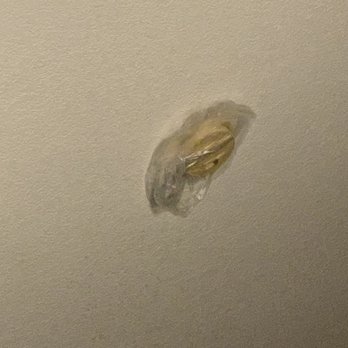 Comfort Inn Humboldt Bay - Bag over the smoke detector - Hotels Near Me - Eureka, California Comfort Inn Humboldt Bay - Bag over the smoke detector - Hotels Near Me - Eureka, California
