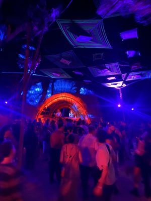 Papaya Playa Project by null