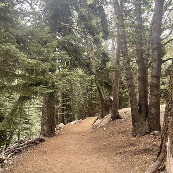 Heaps Peak Arboretum - Perfect trail for strolling in nature - Botanical Gardens Near Me - Lake Arrowhead, California Heaps Peak Arboretum - Perfect trail for strolling in nature - Botanical Gardens Near Me - Lake Arrowhead, California