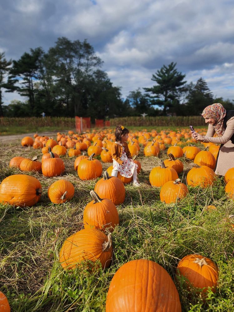 BRIGHTWATERS FARMS Updated May 2024 27 Photos & 29 Reviews 1624