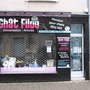 Photo of chat filou