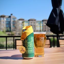 Boring Rose Brewing - Clarksville Kolsch on the patio