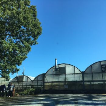 Myers Greenhouse - Nurseries & Gardening Near Me - Winston Salem, North Carolina Myers Greenhouse - Nurseries & Gardening Near Me - Winston Salem, North Carolina
