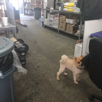 Produce Kingdom - Dogs in a produce shop..interesting - Fruits & Veggies Near Me - Miami, Florida Produce Kingdom - Dogs in a produce shop..interesting - Fruits & Veggies Near Me - Miami, Florida