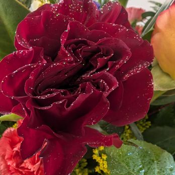 No Reason Why - Florists Near Me - Apache Junction, Arizona No Reason Why - Florists Near Me - Apache Junction, Arizona