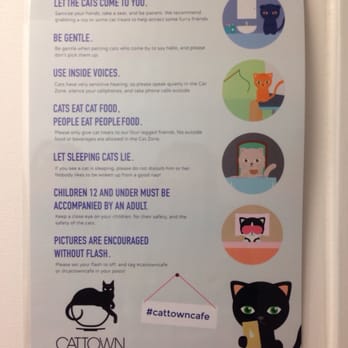 Cat Town - Cool cats play by the rules. - Animal Shelters Near Me - Oakland, California Cat Town - Cool cats play by the rules. - Animal Shelters Near Me - Oakland, California