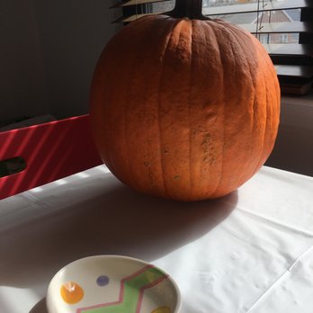 Meadowbrook farm christmas trees wappingers falls