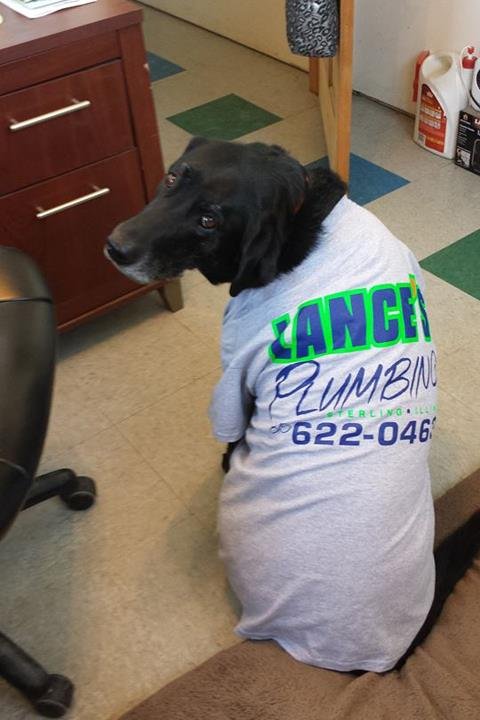 Slide of Lance's Plumbing