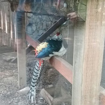 Zoo Boise - Zoos Near Me - Boise, Idaho