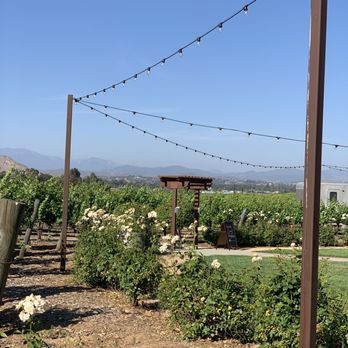 Lorimar Vineyards and Winery - The grapes! - Wineries Near Me - Temecula, California Lorimar Vineyards and Winery - The grapes! - Wineries Near Me - Temecula, California