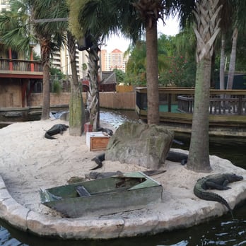 Gator Golf - Mini Golf Near Me - Orlando, Florida
