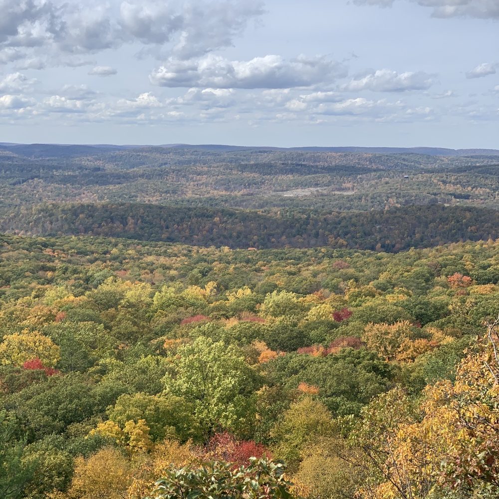 Fall foliage (10/18/20) Fall foliage (10/18/20)
