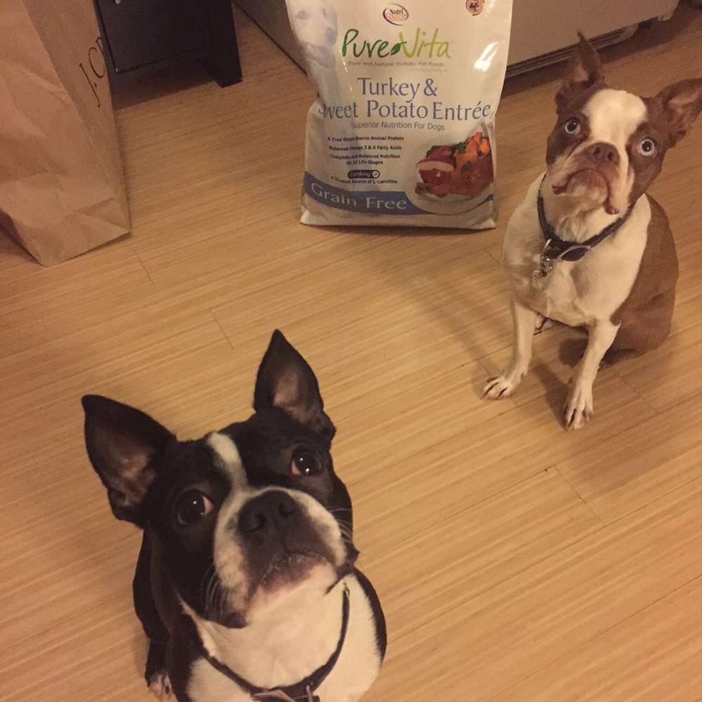 Thank you for helping us find a new brand when ours sold out to Purina WOOF! We're healthier than ever and no more stinky farts!