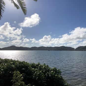 Tailored Management - Morning views - Vacation Rentals Near Me