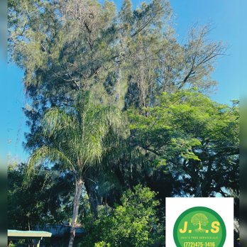 Javi's Tree Service - Tree Services Near Me Javi's Tree Service - Tree Services Near Me