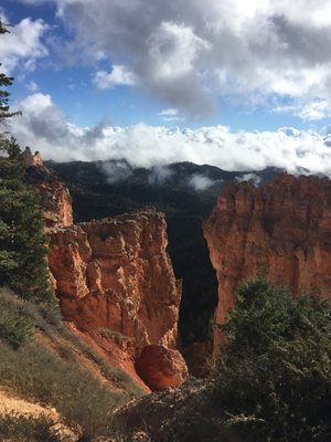 Canyon Fever Guides by null