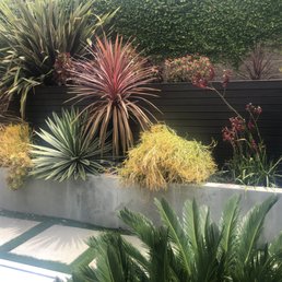 Its hard to see, but that's the fence behind all the plants.