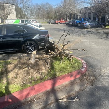 The Reserve At Bellfort - Cars damage over 1500 total - Apartments Near Me - Houston, Texas The Reserve At Bellfort - Cars damage over 1500 total - Apartments Near Me - Houston, Texas