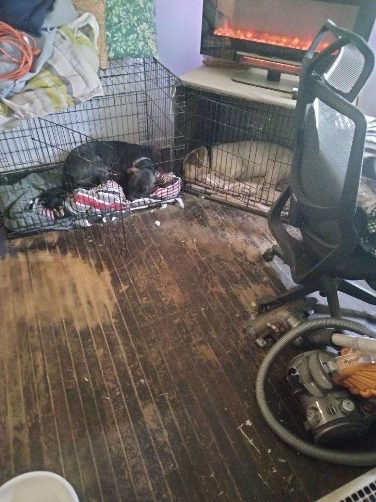 Slide of A and m remodeling and demolition