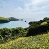 SCP Mendocino Coast Lodge gift card