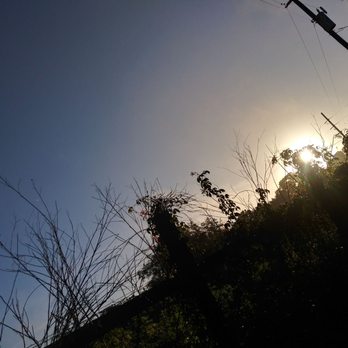 Withlacoochee State Forest - Beautiful morning already - Hiking Near Me - Webster, Florida