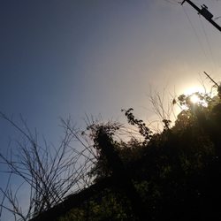 Withlacoochee State Forest - Beautiful morning already