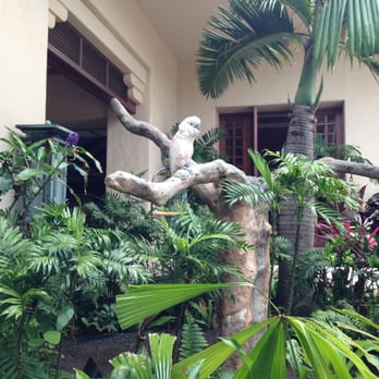 Ilima Terrace - Parrots and Macaws on garden lined path down to terrace - American Near Me - Koloa, Hawaii