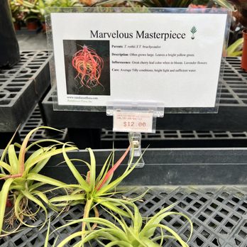 Rainforest Flora - Nurseries & Gardening Near Me - Torrance, California Rainforest Flora - Nurseries & Gardening Near Me - Torrance, California