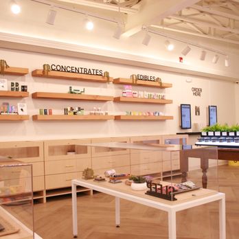 Castle Leaf - Cannabis Dispensaries Near Me - Brighton, Massachusetts Castle Leaf - Cannabis Dispensaries Near Me - Brighton, Massachusetts