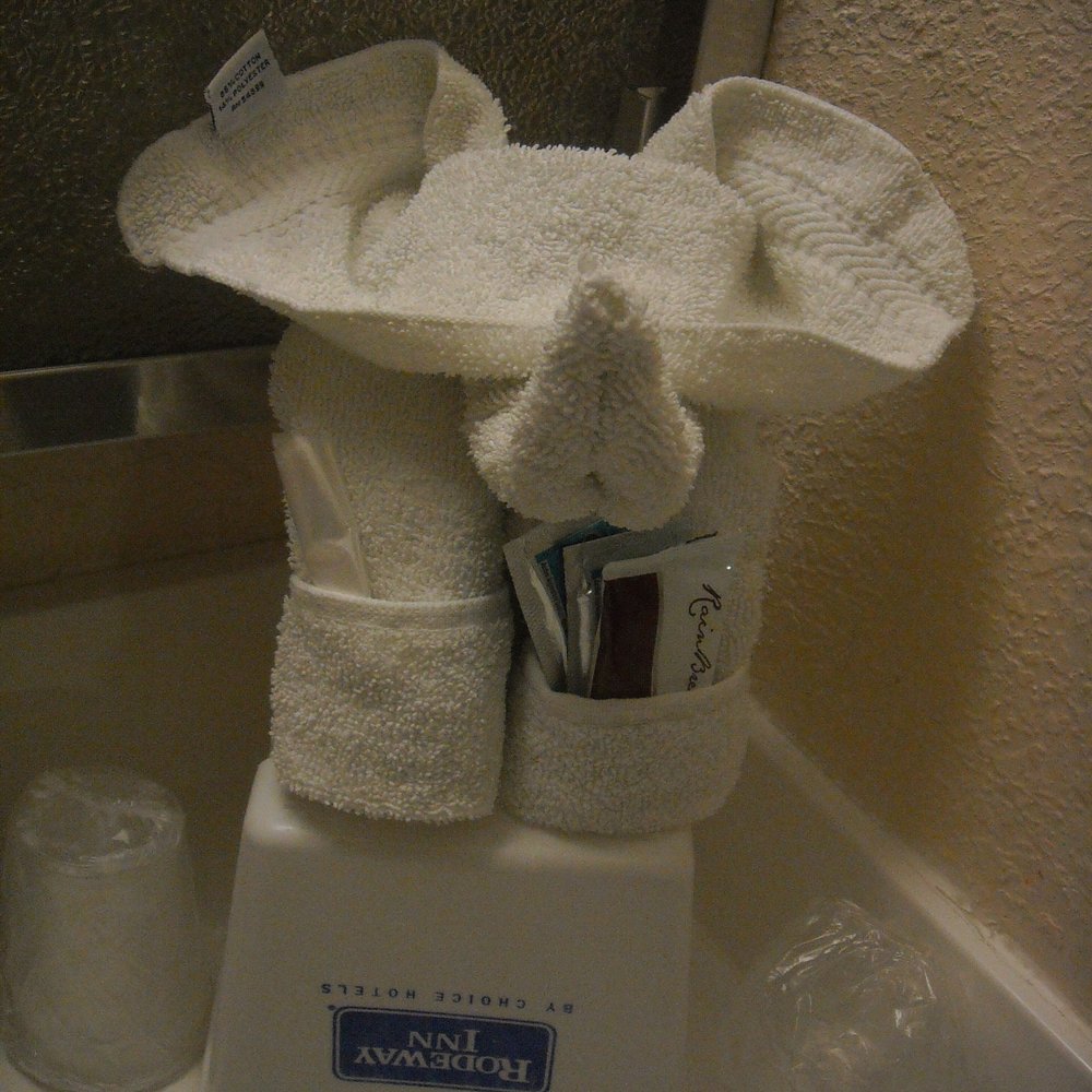 Rodeway Inn - Cute towel elephant - Hotels Near Me - Barstow, California