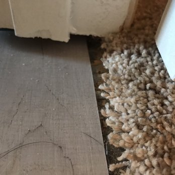 Best Flooring Center - a close up of a carpet - Flooring Near Me - Fruitland Park, Florida Best Flooring Center - a close up of a carpet - Flooring Near Me - Fruitland Park, Florida
