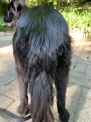 Bubbles and bows near me Clearance