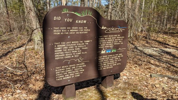 Ferry Beach State Park by null