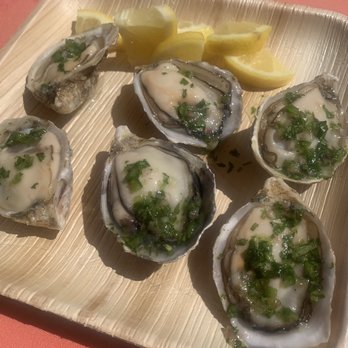 Broc Cellars - Oysters from Hog Island - Wineries Near Me - Berkeley, California