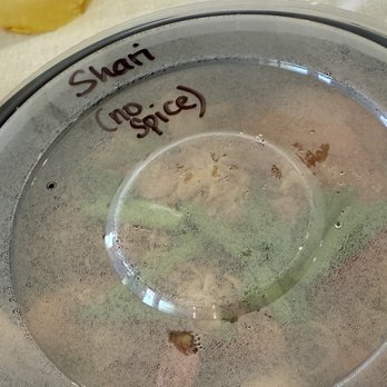 Shioketh - Haha. Shari, No Spice - Singaporean Near Me - Honolulu, Hawaii