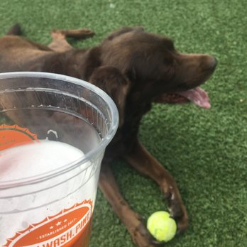 Play. Wash. Pint. - Dog Parks Near Me - Chattanooga, Tennessee Play. Wash. Pint. - Dog Parks Near Me - Chattanooga, Tennessee