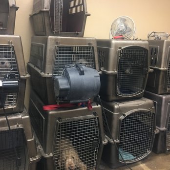 Kelly's K-9 Cuts - Pet Groomers Near Me - Kyle, Texas