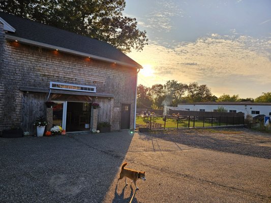 Modestman Brewing by null