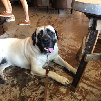 Twisted Barrel Winery - Wine Tasting Room Near Me - Lodi, California