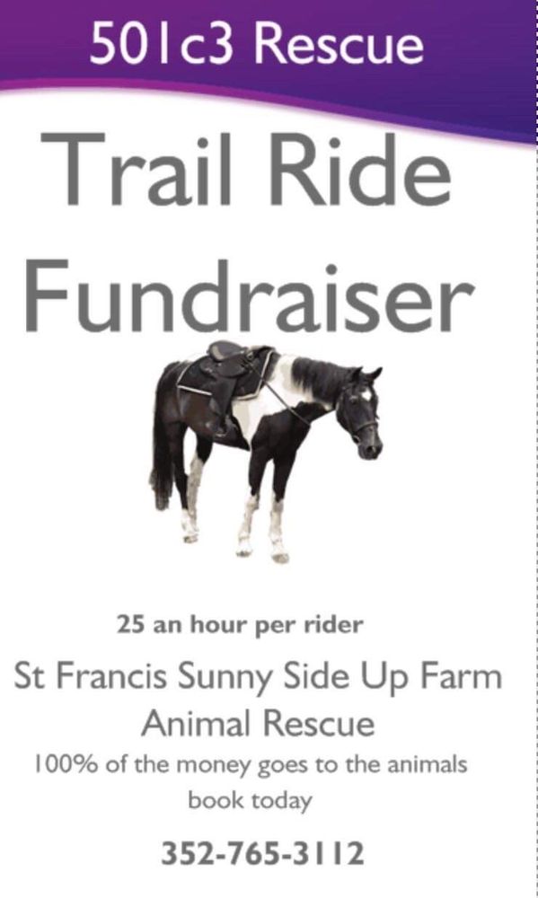 WITHLACOOCHEE TRAIL RIDES Updated March 2024 Lecanto, Florida