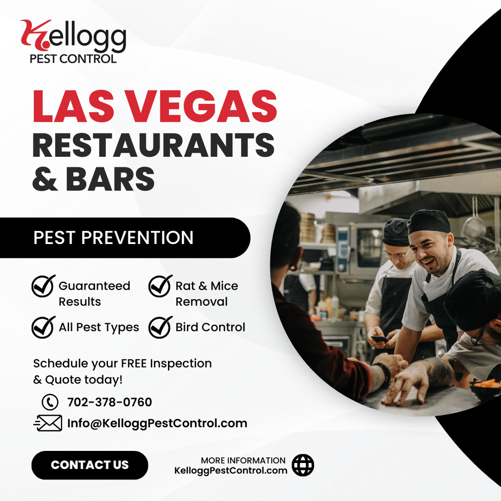 KELLOGG PEST CONTROL Updated August 2024 166 Photos & 26 Reviews