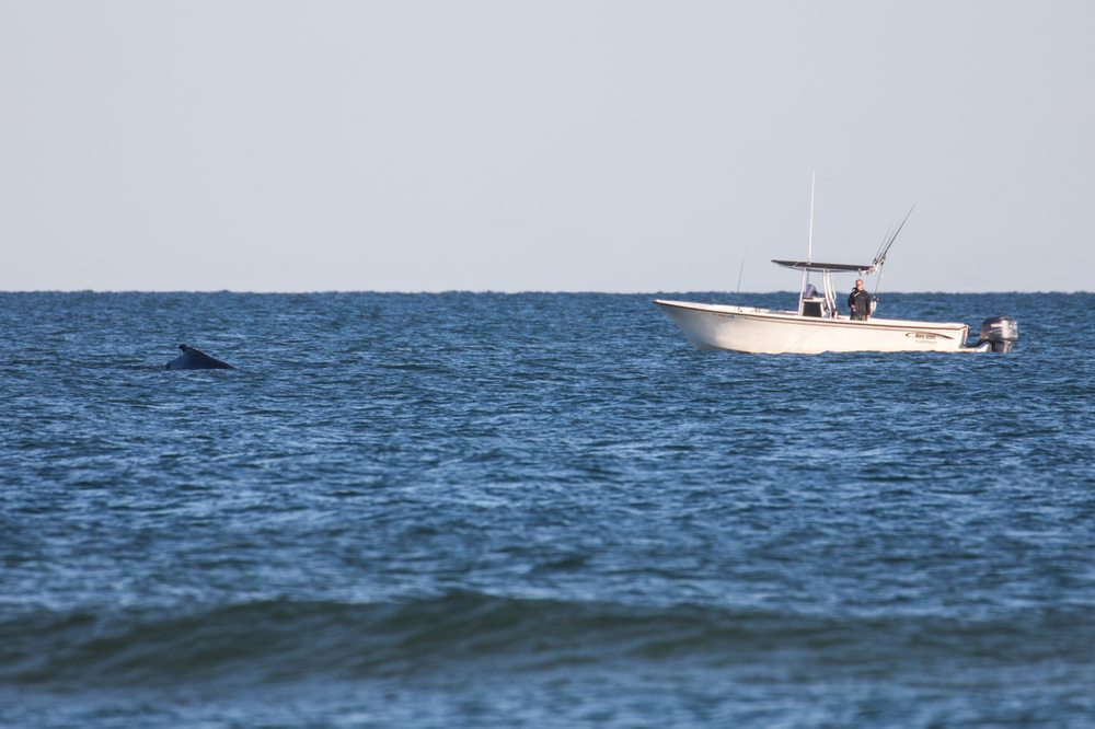 FishHawk Charters Logo
