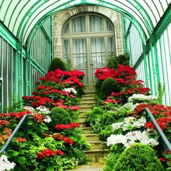 Serres royales de Laeken - Botanical Gardens Near Me - Laeken, BRU