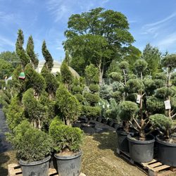 Ultimate Nursery Macomb