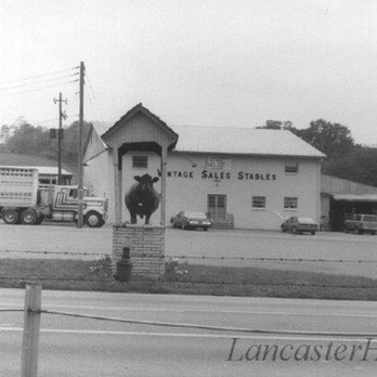 Vintage Sales Stables - Vintage Sales Stables - Paradise, Pennsylvania Vintage Sales Stables - Vintage Sales Stables - Paradise, Pennsylvania