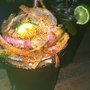Photo of La Palapa El Compa