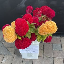 Carmel Farmers Markets - Balanced Harvest