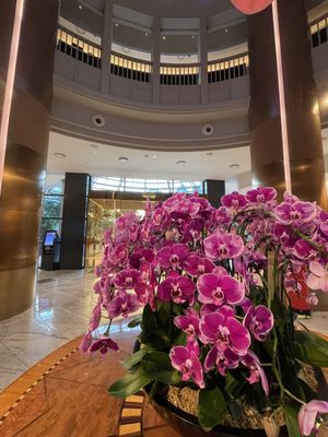 Grand Copthorne Waterfront Hotel by null