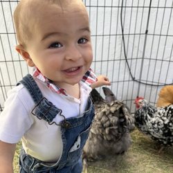 Pammy's Mobile Pony Parties & Petting Zoo - Our one year old enjoying the chickens
