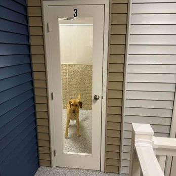 Pup E Club - Pet Boarding Near Me - Freeport, New York Pup E Club - Pet Boarding Near Me - Freeport, New York